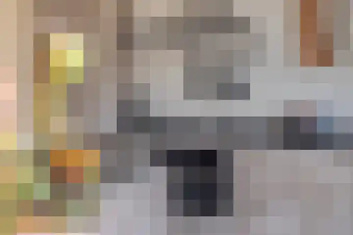 Ketelven 26 Veghel thumbnail 18