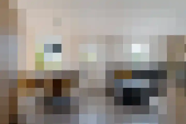 Kets 33 A Marken thumbnail 12