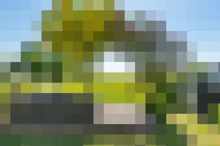 Kets 33 A Marken thumbnail 22