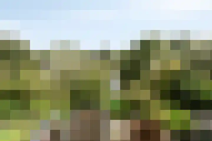 Ketsheuvel 34 's-Hertogenbosch thumbnail 26