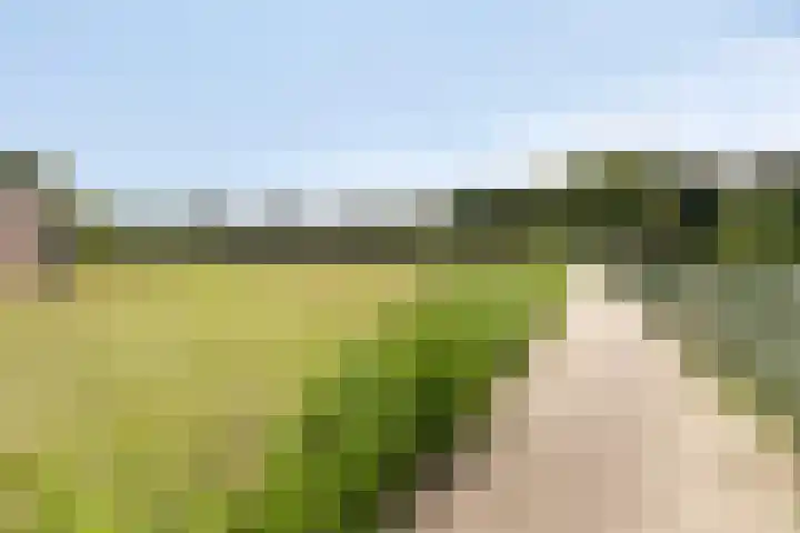Ketsheuvel 34 's-Hertogenbosch thumbnail 28