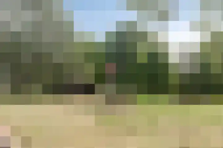 Ketsheuvel 34 's-Hertogenbosch thumbnail 30