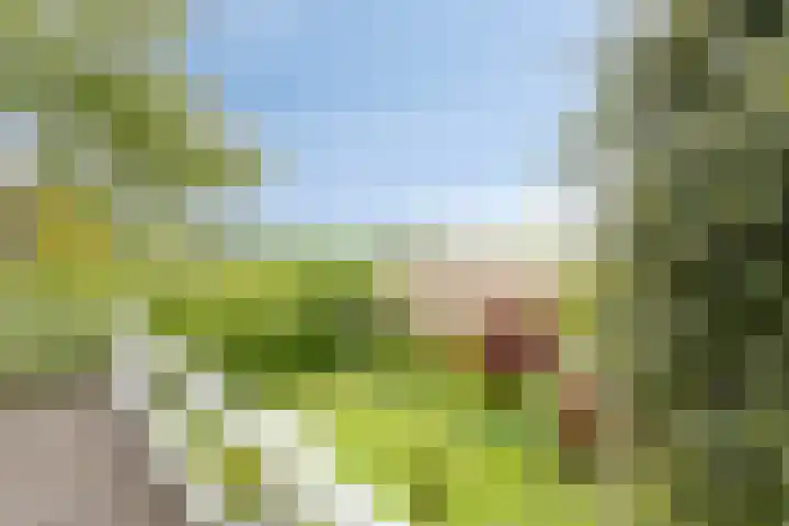 Ketting 1 Heerenveen thumbnail 33