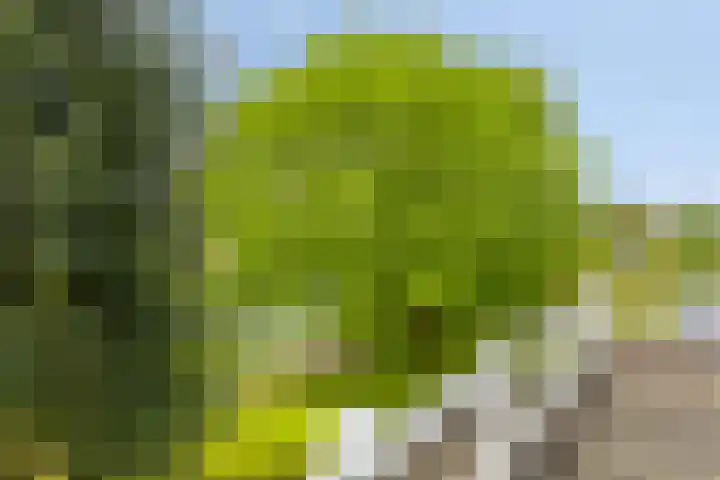 Ketting 1 Heerenveen thumbnail 34
