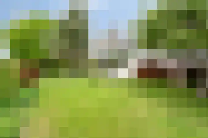 Ketting 1 Heerenveen thumbnail 40