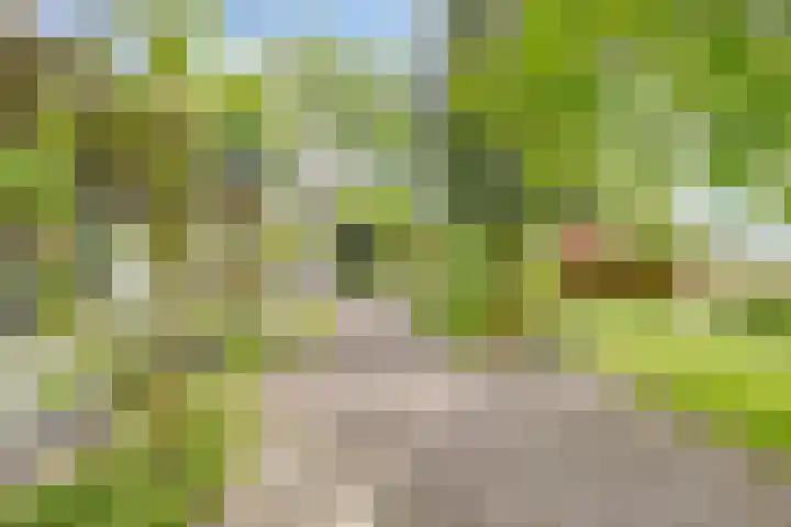 Ketting 1 Heerenveen thumbnail 43