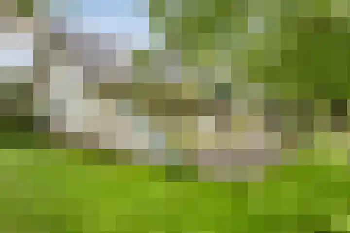 Ketting 1 Heerenveen thumbnail 45