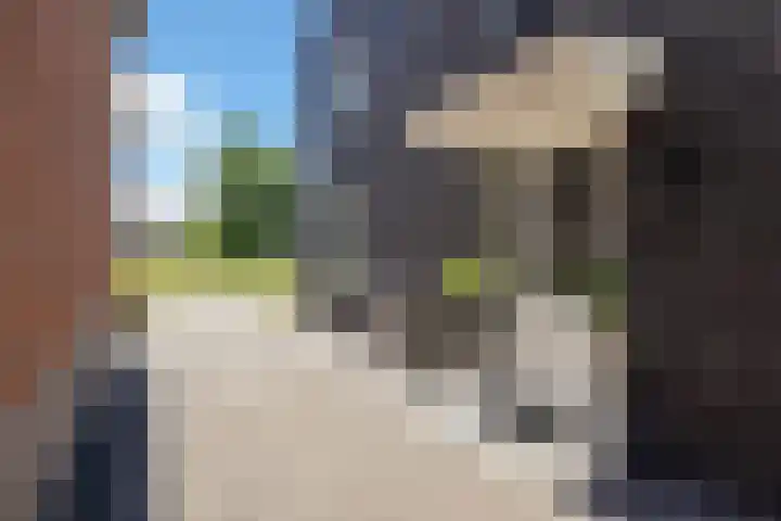 Kettingsteek 13 Almere thumbnail 14