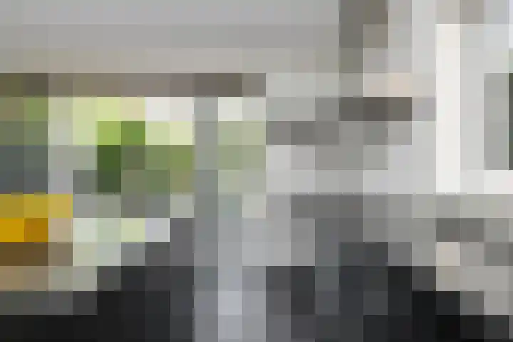 Kettingsteek 13 Almere thumbnail 26