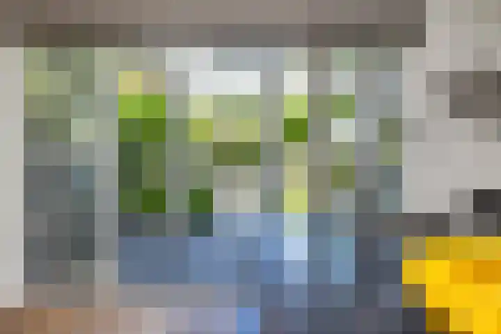 Kettingsteek 13 Almere thumbnail 27