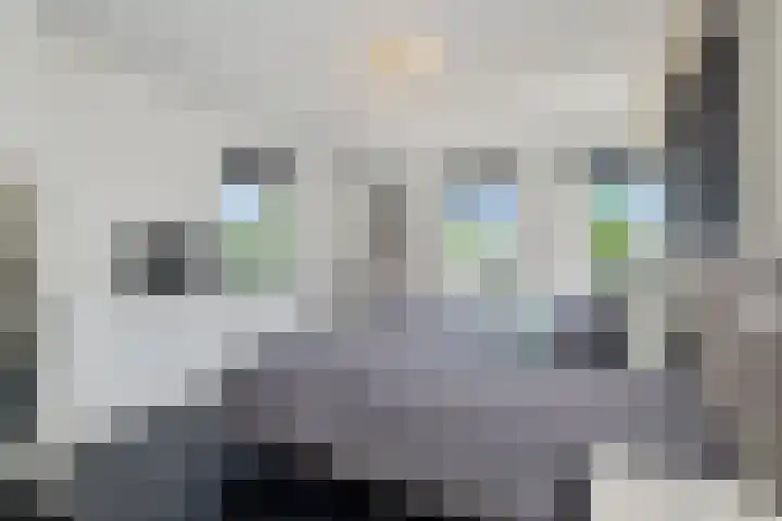 Kettingsteek 13 Almere thumbnail 40