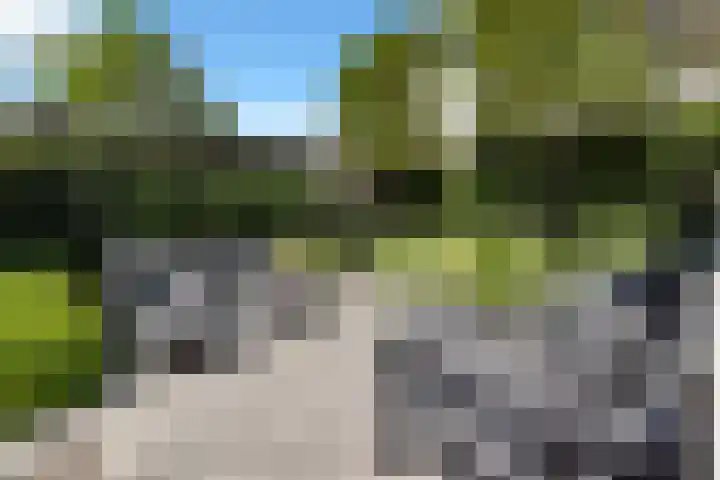 Kettingsteek 13 Almere thumbnail 66