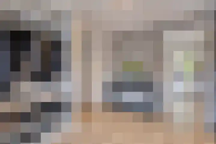 Keulerstraat 60 Bergen L thumbnail 8