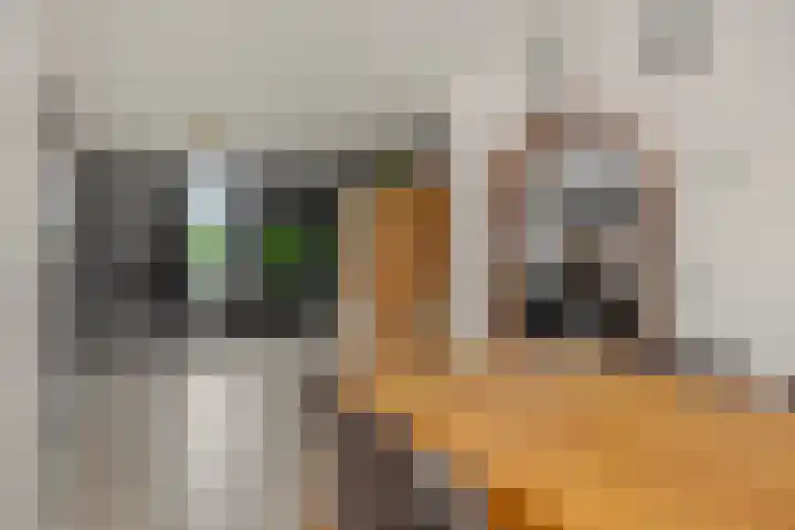 Keulsebaan 1 Neerkant thumbnail 13