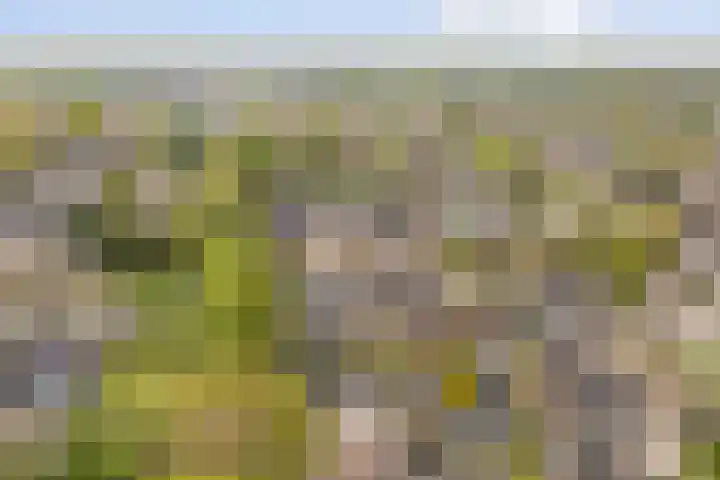 Keulsebaan 1 Neerkant thumbnail 8