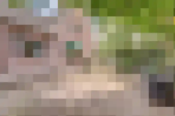 Keup 9 Egchel thumbnail 32