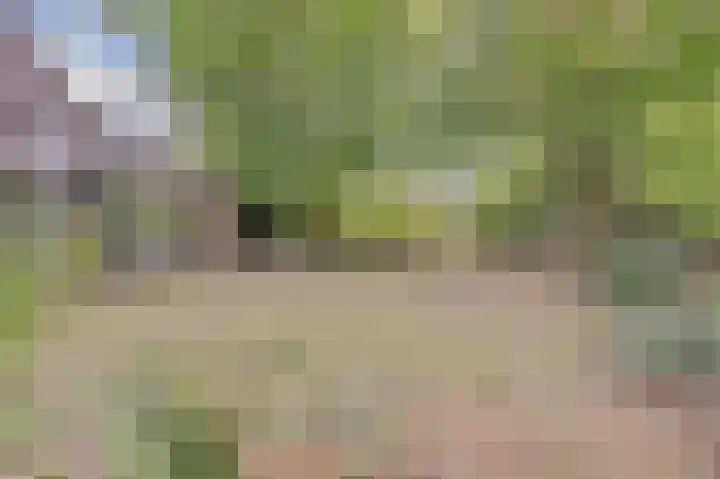 Keup 9 Egchel thumbnail 35