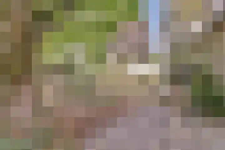 Keup 9 Egchel thumbnail 37