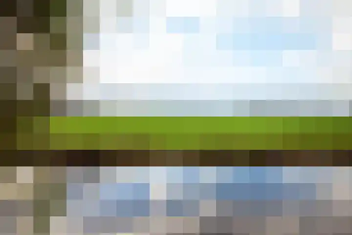 Keur 17 Kamerik thumbnail 10