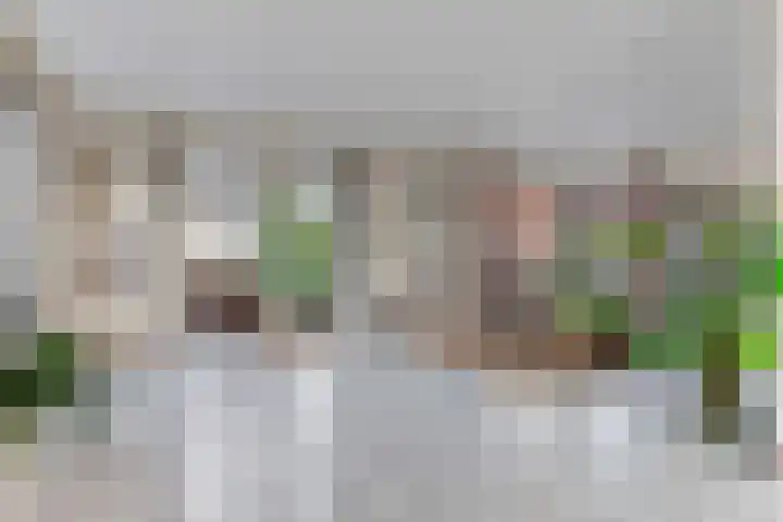 Keur 17 Kamerik foto 2