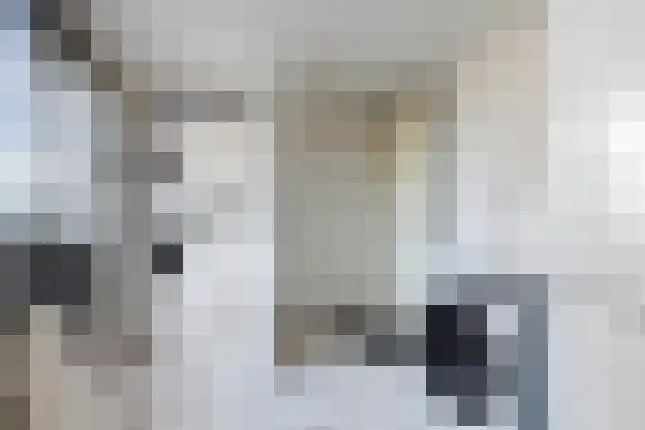 Keur 17 Kamerik thumbnail 29