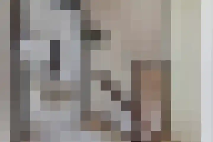 Keur 17 Kamerik thumbnail 32