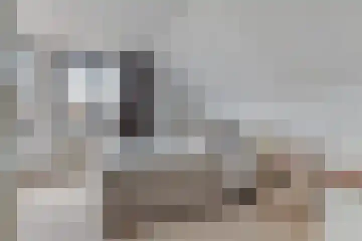Keur 17 Kamerik thumbnail 33