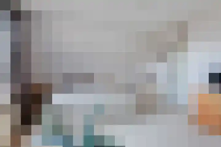 Keur 17 Kamerik thumbnail 36