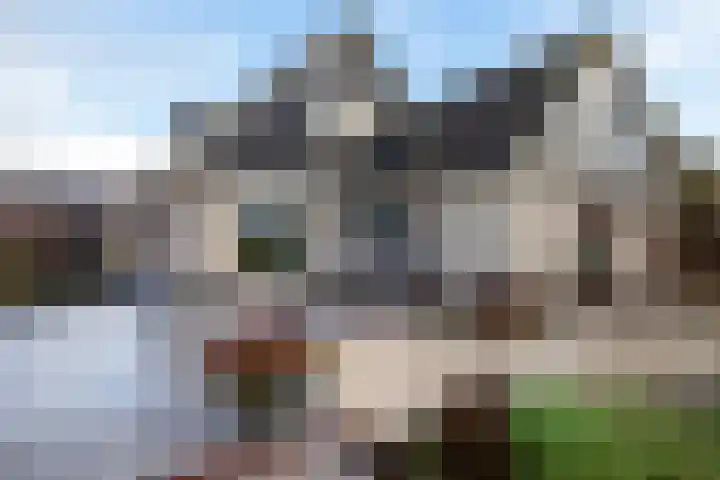 Keur 17 Kamerik thumbnail 50