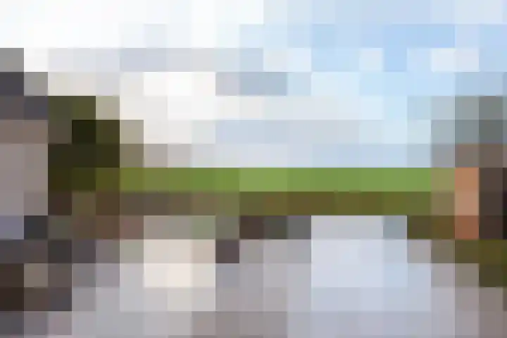 Keur 17 Kamerik thumbnail 55