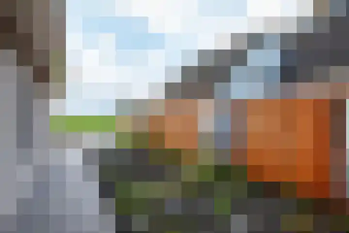 Keur 17 Kamerik thumbnail 57