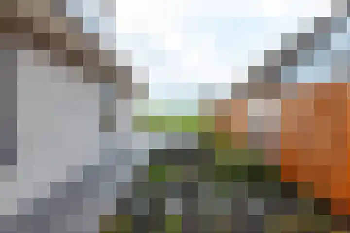 Keur 17 Kamerik thumbnail 58