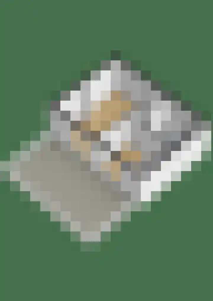 Kick Smitweg 21 Haarlem thumbnail 35
