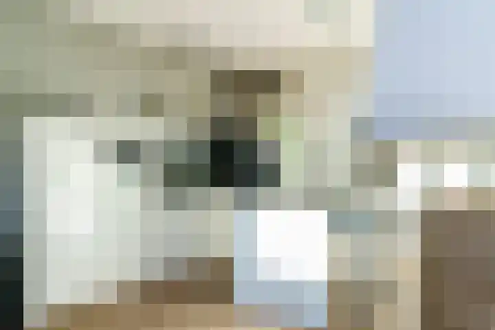 Kick Smitweg 21 Haarlem thumbnail 8