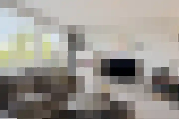Kid Oryrode 11 Zoetermeer thumbnail 15
