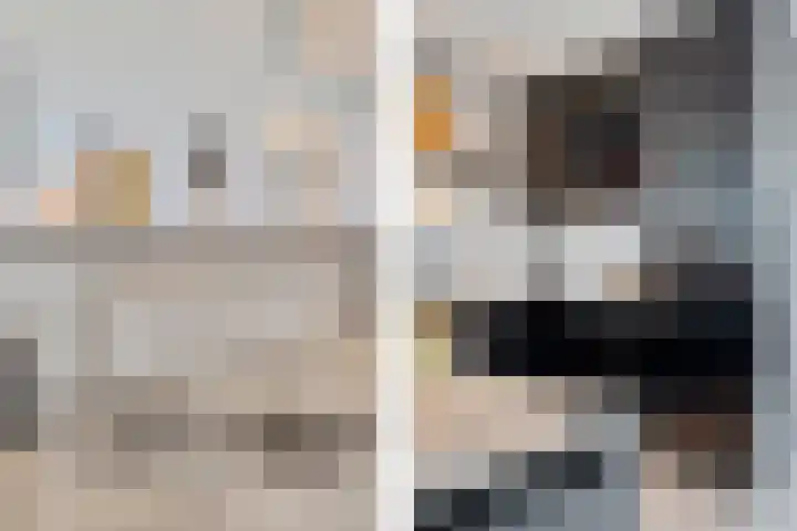 Kid Oryrode 11 Zoetermeer thumbnail 20