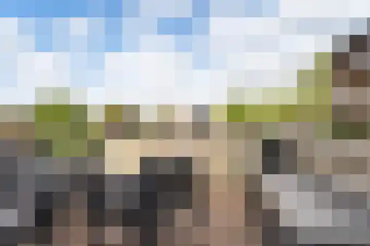 Kid Oryrode 11 Zoetermeer thumbnail 28