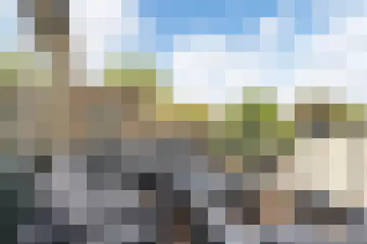 Kid Oryrode 11 Zoetermeer thumbnail 29
