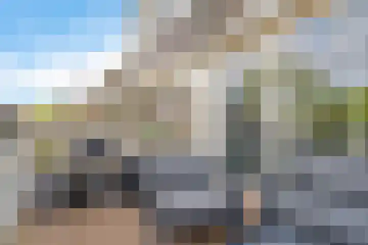 Kid Oryrode 11 Zoetermeer thumbnail 31