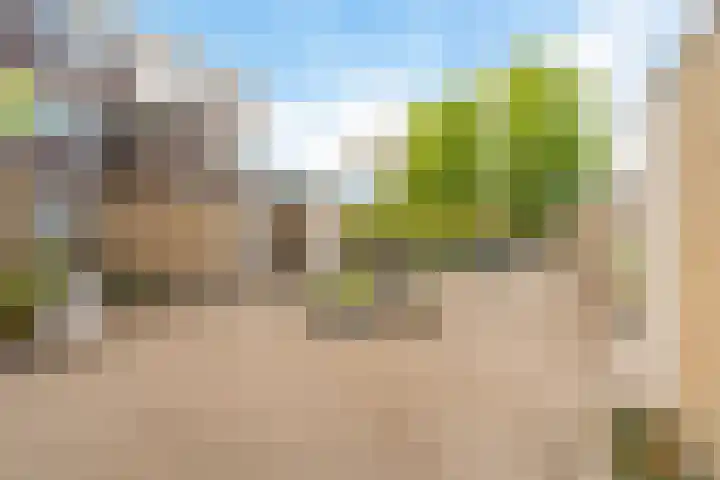 Kid Oryrode 11 Zoetermeer thumbnail 5