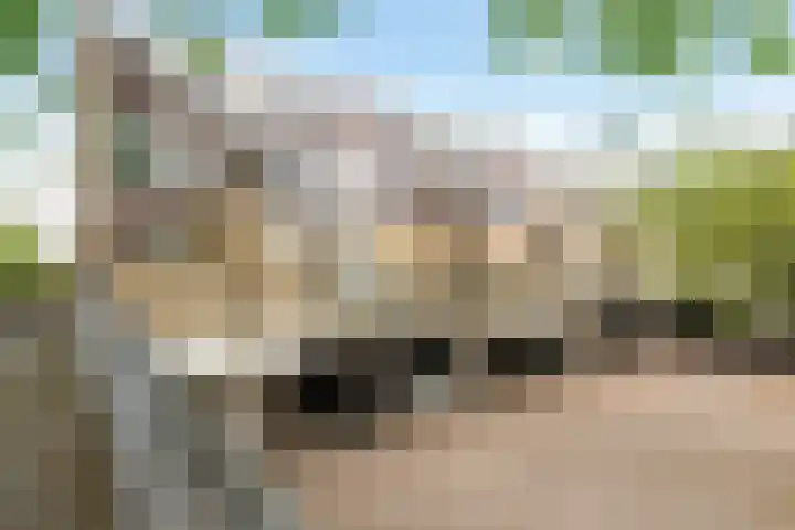 Kid Oryrode 11 Zoetermeer thumbnail 53