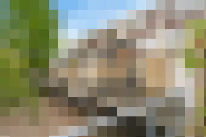 Kid Oryrode 11 Zoetermeer thumbnail 7