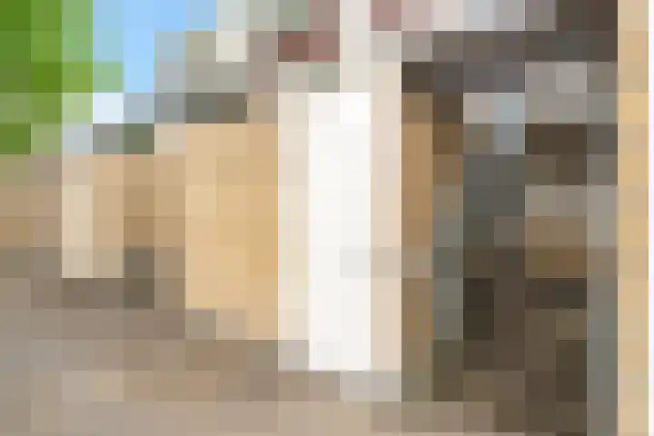 Kid Oryrode 11 Zoetermeer thumbnail 8
