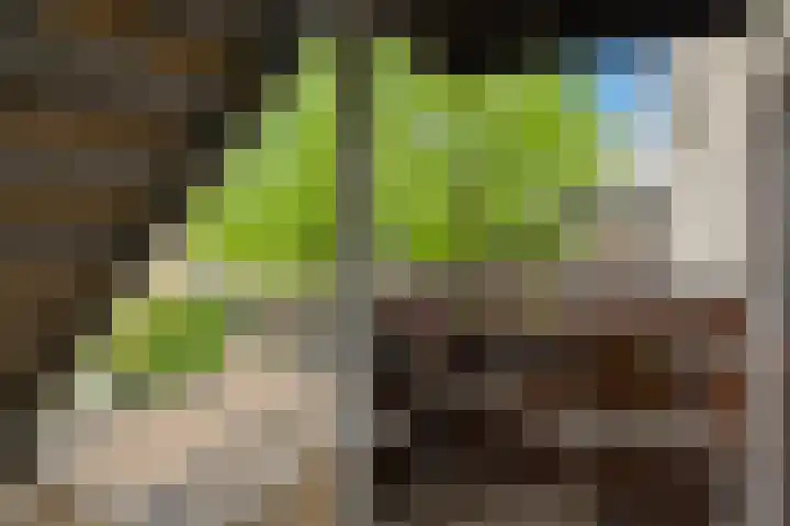 Kid Oryrode 11 Zoetermeer thumbnail 9