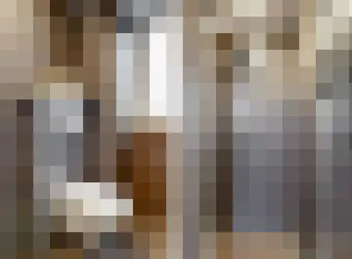 Kieftentuin 12 Zwaag thumbnail 17