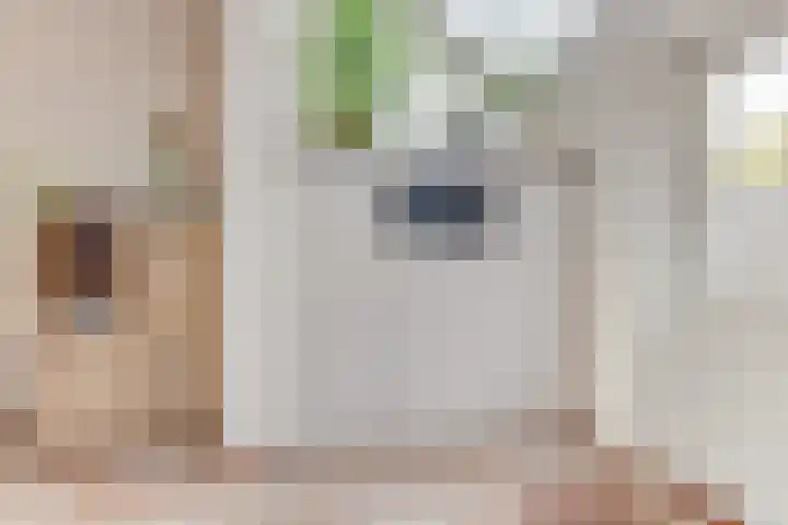 Kieftentuin 24 Zwaag thumbnail 18