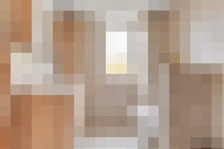 Kieftentuin 24 Zwaag thumbnail 27