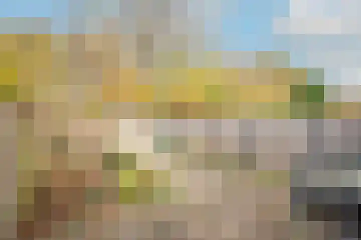 Kieftentuin 24 Zwaag thumbnail 33