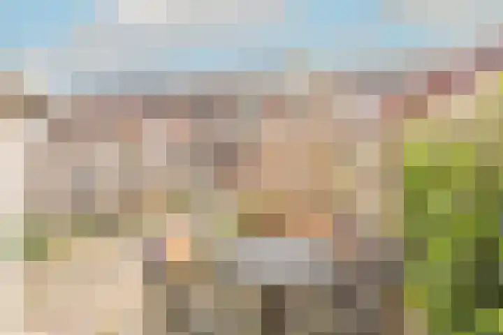 Kieftentuin 24 Zwaag thumbnail 37