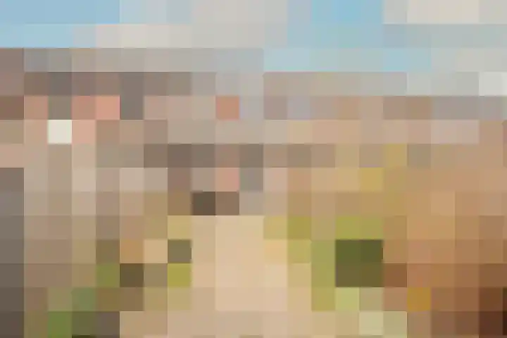 Kieftentuin 24 Zwaag thumbnail 38